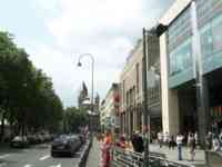 Street with trees on left, modern buildings on right, and old buildings ahead