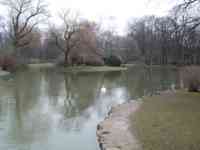 Pond