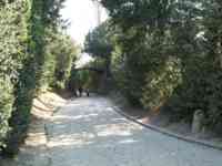 Part of path to Grand Trianon