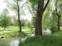 Stream by the path.