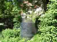 Neighborhood stream in spring