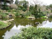 Pond with birds, fish, and turtles