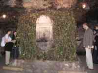 Vine-covered fountain dispensing wine