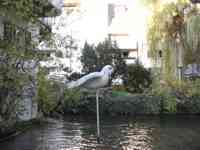 Sparrow Sculpture in middle of river