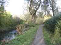 Path along stream