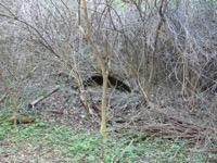 Tunnel to next castle