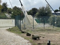 Radio tower on Tibidabo