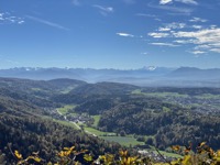 View from Uetliberg