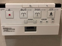 Bidet controls