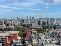 Asakusa from hotel roof