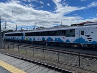 Decorated Fujikyu Railway cars