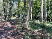 On trail to Mount Mitsutoge