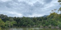 Kinkakujji-mae (Golden Pavilion)