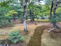 Kinkakujji-mae (Golden Pavilion)