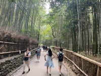 Sagano Bamboo Forest