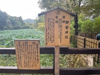 Near Sagano Bamboo Forest