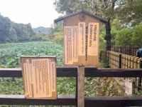 Near Sagano Bamboo Forest, translated