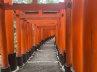 Fushimi Inari-taisha