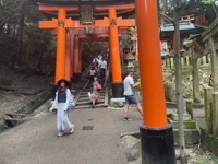 Fushimi Inari-taisha