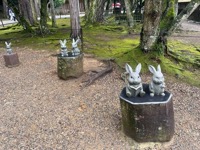 Izumo Taisha Shrine