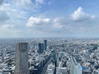 View from Shibuya Sky