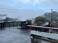 Steaming springs at Whakawarewa Village