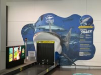 Luggage carousel decorated as Grey Reef Shark