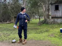 Feeding the birds